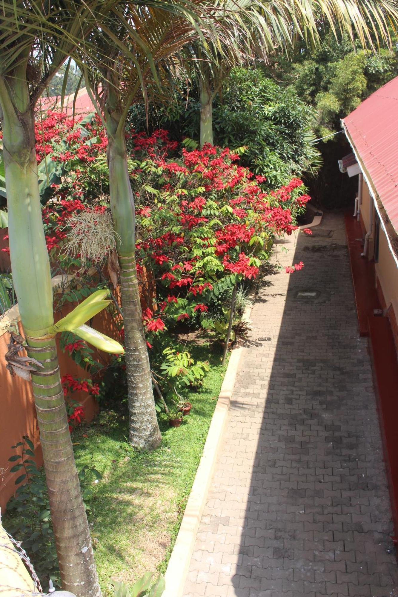 Fort Portal Montane Safaris Hotel מראה חיצוני תמונה